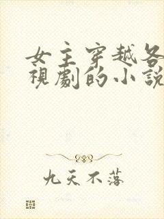 女主穿越各种影视剧的小说