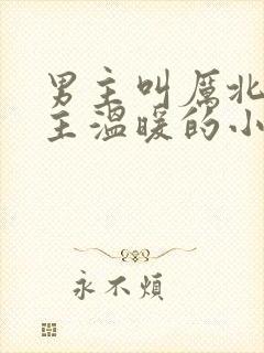 男主叫厉北霆女主温暖的小说