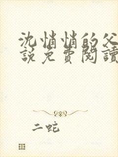 沈悄悄的父女小说免费阅读