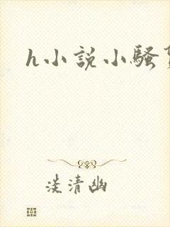 h小说小骚货封面