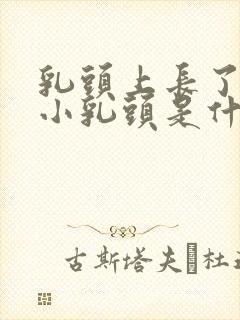 乳头上长了一个小乳头是什么情况