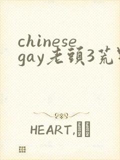 chinesegay老头3荒野拾珍封面