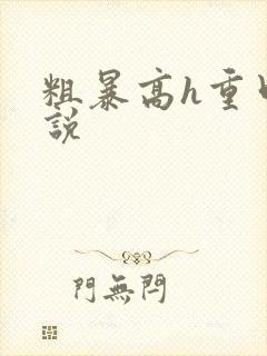 粗暴高h重口小说封面