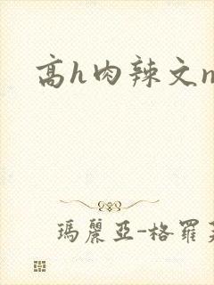 高h肉辣文np