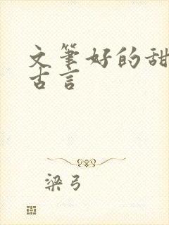 文笔好的甜宠文古言