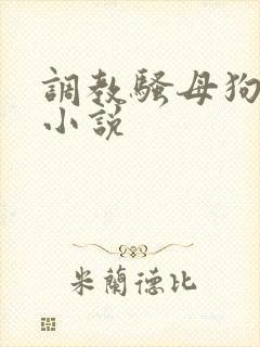 调教骚母狗高h小说