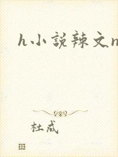 h小说辣文np