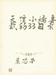 天价小娇妻 总裁的33日索情