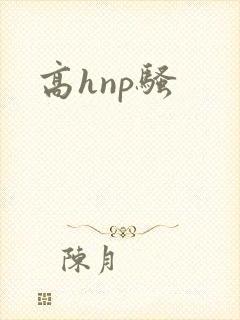 高hnp骚