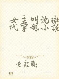 女主叫沈微的古代穿越小说