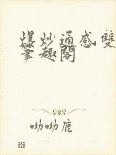 爆炒通感双胞胎笔趣阁