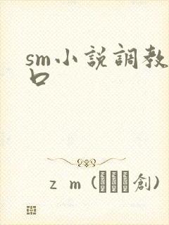 sm小说调教重口封面