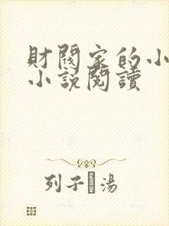 财阀家的小儿子小说阅读