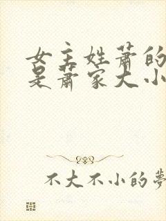 女主姓萧的小说是萧家大小姐