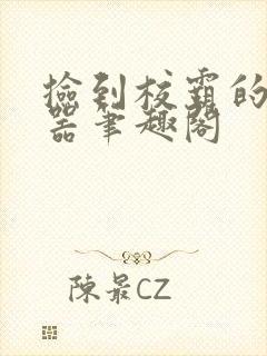 捡到校霸的遥控器笔趣阁封面