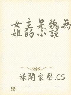 女主是魏无羡姐姐的小说