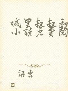 城里叔叔和侄女小说免费阅读全文封面