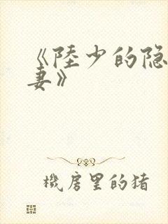 《陆少的隐婚罪妻》