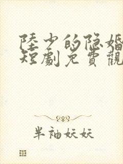 陆少的隐婚罪妻短剧免费观看