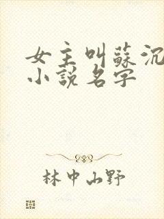 女主叫苏沉鱼的小说名字