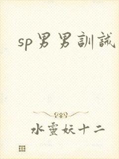 sp男男训诫文