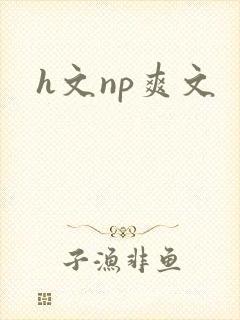 h文np爽文