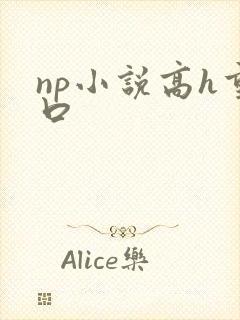 np小说高h重口