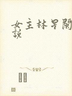 女主林星阑的小说