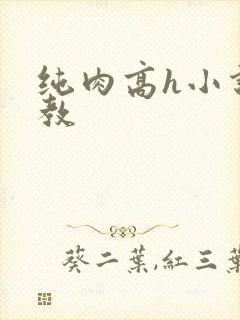 纯肉高h小说调教