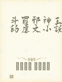 斗罗邪神王二狗的虐文小说封面