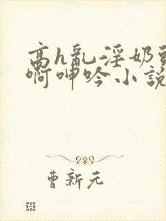 高h乱淫奶头嗯啊呻吟小说