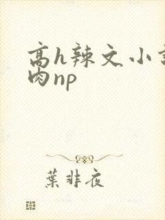 高h辣文小说纯肉np