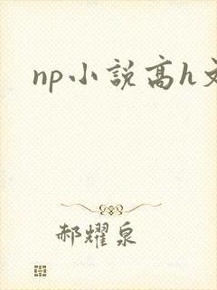 np小说高h文
