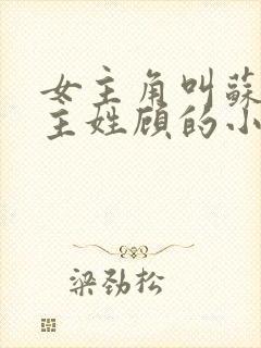 女主角叫苏禾男主姓顾的小说封面