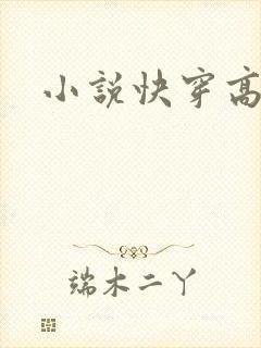 小说快穿高h