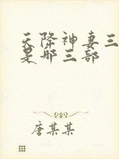 天降神妻三部曲是哪三部