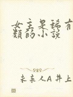 女主是稀有纯人类的小说