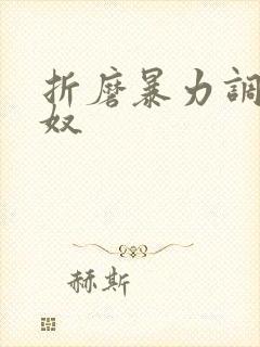 折磨暴力调教男奴