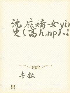 沈府娇女yin史(高h,np)小说封面