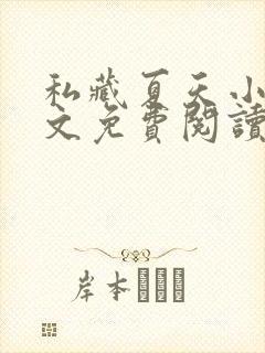 私藏夏天小说全文免费阅读笔趣阁