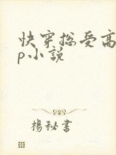 快穿总受高hnp小说封面