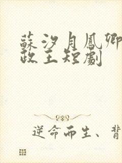 苏汐月凤卿绝摄政王短剧