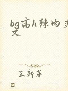bg高h辣肉爽文封面