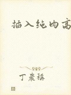 插入纯肉高h