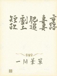 短剧肥妻重生摄政王追妻路漫漫免费