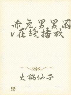 赤兔男男国产gv在线播放