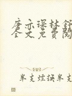 唐亦琛林舒小说全文免费阅读封面