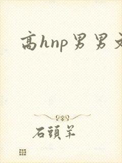 高hnp男男文