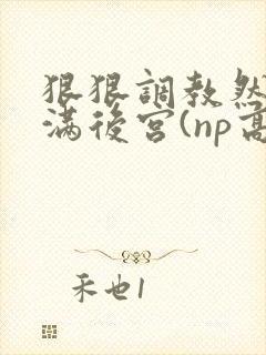 狠狠调教然后填满后宫(np高h)