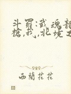 斗罗:武魂龙吟枪,我,北境之主封面